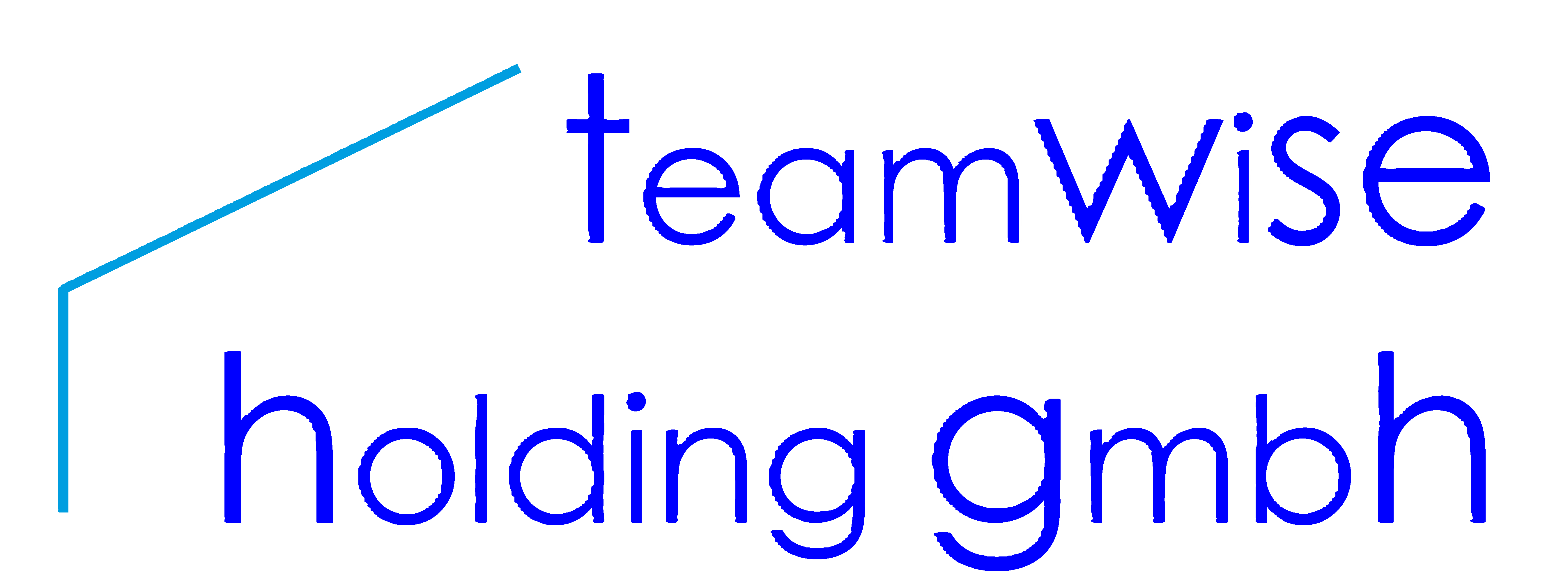 TeamWiSE Holding GmbH
